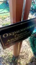 Захоронение ID 6375337