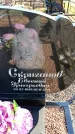 Захоронение ID 6375385