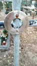 Захоронение ID 6376137