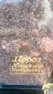 Захоронение ID 6376224