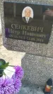 Захоронение ID 6376277