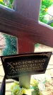 Захоронение ID 6376749