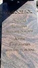 Захоронение ID 6376825