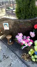 Захоронение ID 6376850