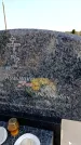 Захоронение ID 6376869