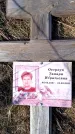 Захоронение ID 6376914