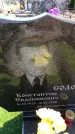 Захоронение ID 6376956