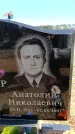 Захоронение ID 6377083