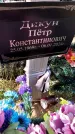 Захоронение ID 6377229