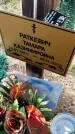 Захоронение ID 6377241