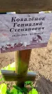 Захоронение ID 6377321