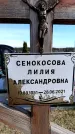 Захоронение ID 6377358