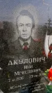 Захоронение ID 6377368