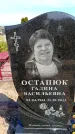 Захоронение ID 6377541