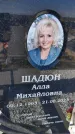 Захоронение ID 6377940