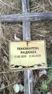 Захоронение ID 6378212