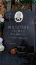 Захоронение ID 6378300