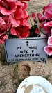 Захоронение ID 6378342