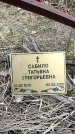 Захоронение ID 6378366