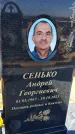 Захоронение ID 6378408