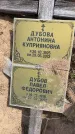 Захоронение ID 6378556