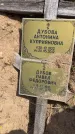 Захоронение ID 6378557
