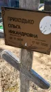 Захоронение ID 6378579
