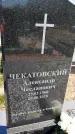 Захоронение ID 6378620