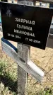 Захоронение ID 6378689