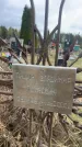 Захоронение ID 6379043