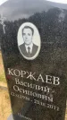 Захоронение ID 6379101
