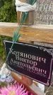 Захоронение ID 6379117