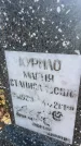 Захоронение ID 6379350