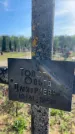 Захоронение ID 6379382