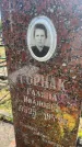 Захоронение ID 6379506