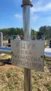 Захоронение ID 6379531