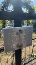 Захоронение ID 6379609