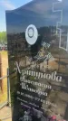 Захоронение ID 6379676