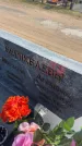 Захоронение ID 6379700