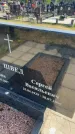 Захоронение ID 6379705
