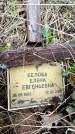 Захоронение ID 6379868