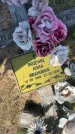 Захоронение ID 6379875