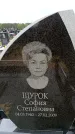 Захоронение ID 6379882