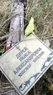 Захоронение ID 6379885