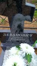 Захоронение ID 6379887