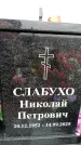 Захоронение ID 6379948