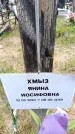 Захоронение ID 6380071