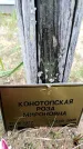 Захоронение ID 6380081