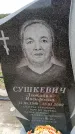 Захоронение ID 6380130