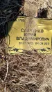 Захоронение ID 6380245
